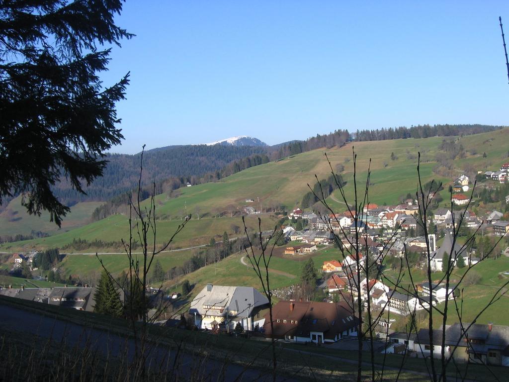 Apartment Haus Keller Todtnauberg
