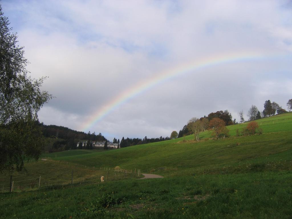 Haus Keller * Todtnauberg
