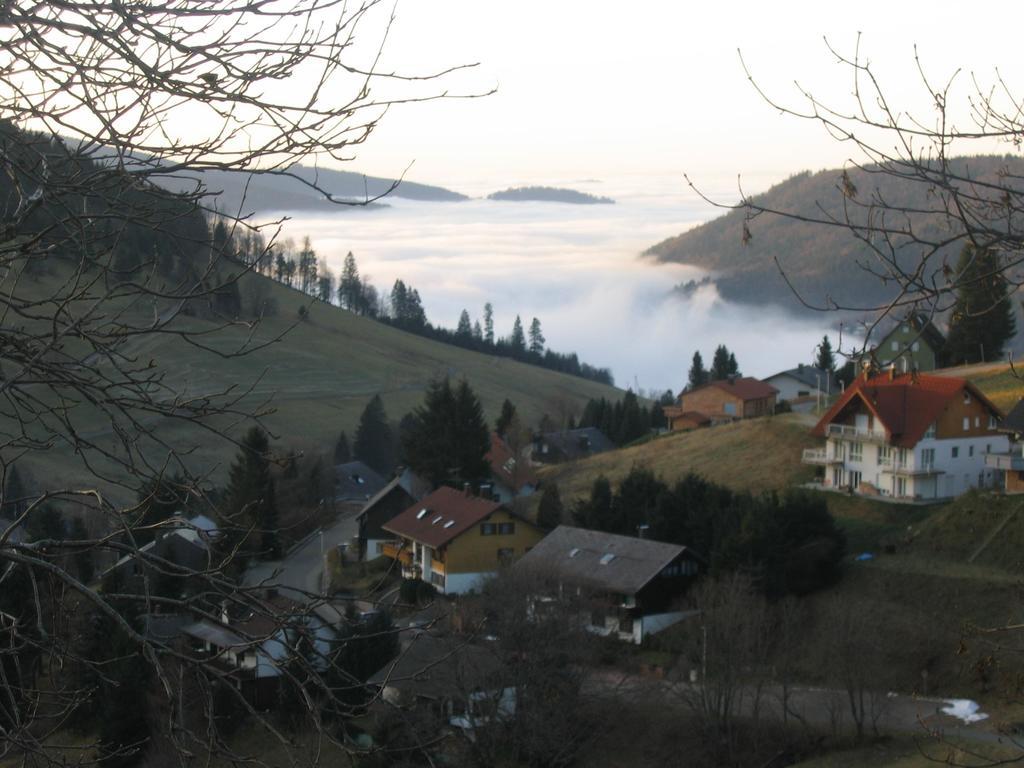 Haus Keller Apartment Todtnauberg